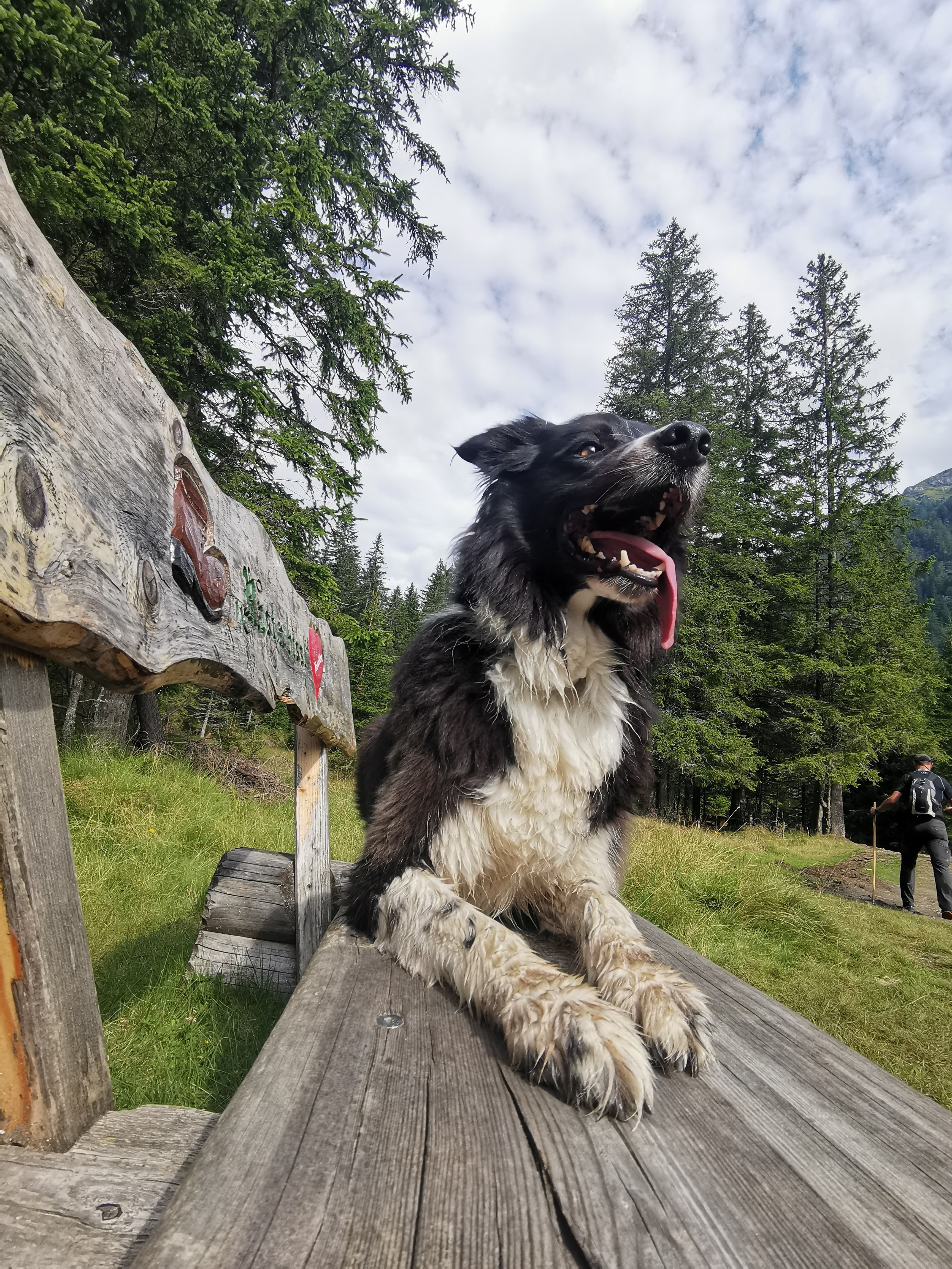 Aron liegt auf einer Bank beim Wandern